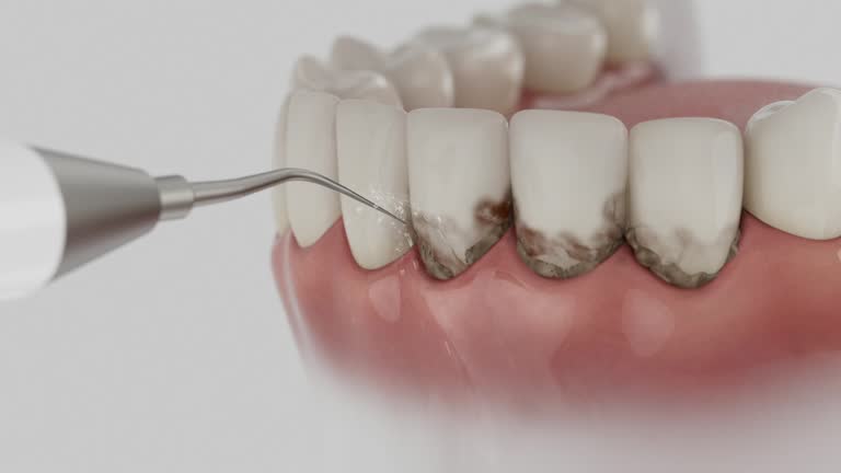 Reliable Dental contractor in Commerce, GA by Dentist Open Now